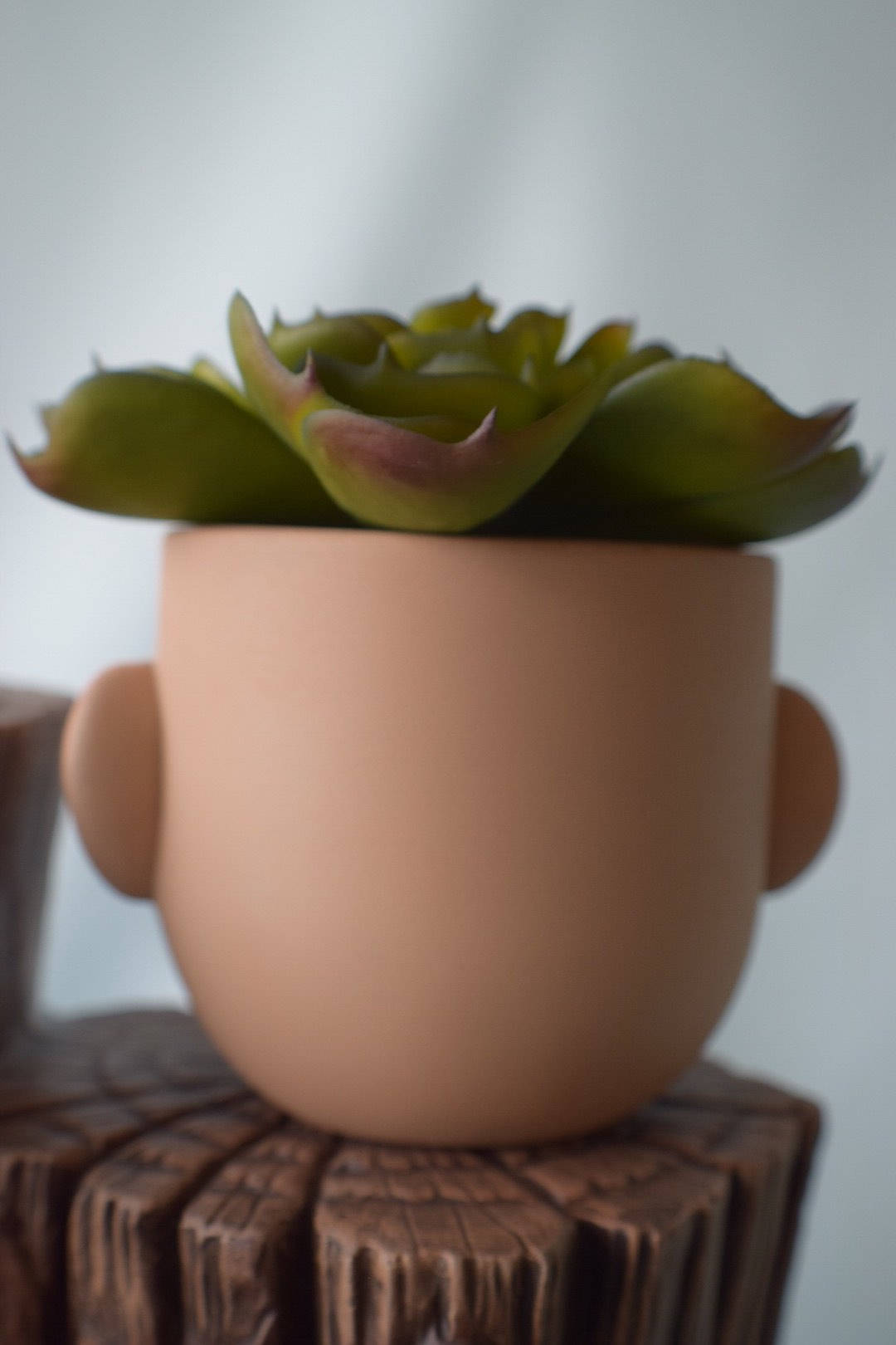 Ceramic Face Flower Pot Planter for Home and Garden Decor