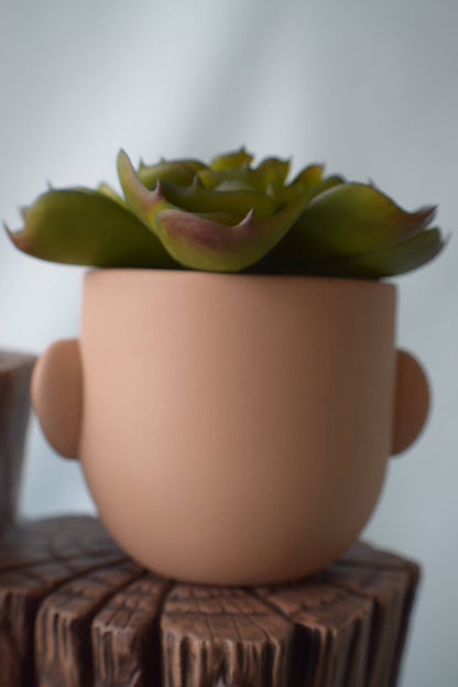 Ceramic Face Flower Pot Planter for Home and Garden Decor