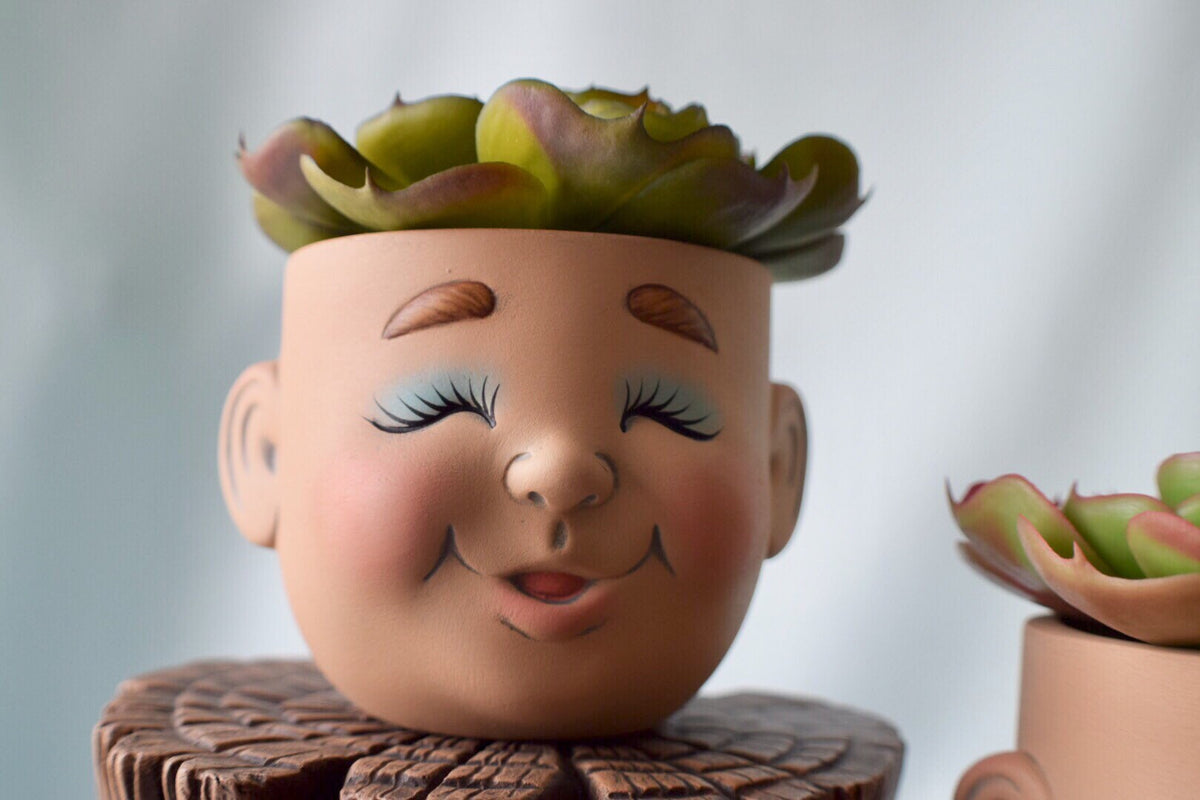 Ceramic Face Flower Pot Planter for Home and Garden Decor