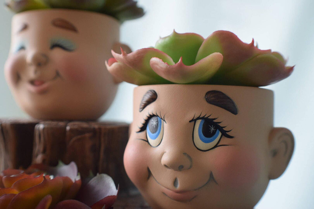 Ceramic Face Flower Pot Planter for Home and Garden Decor